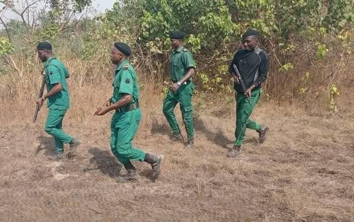 Federal Government Deploys 7,000 Forest Guards to Reclaim Ungoverned Territories