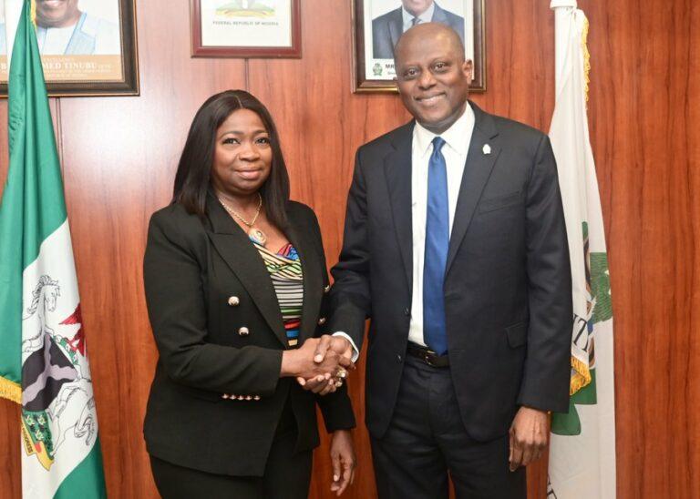 FG: $600m Monthly Remittances Show Impact of Reforms