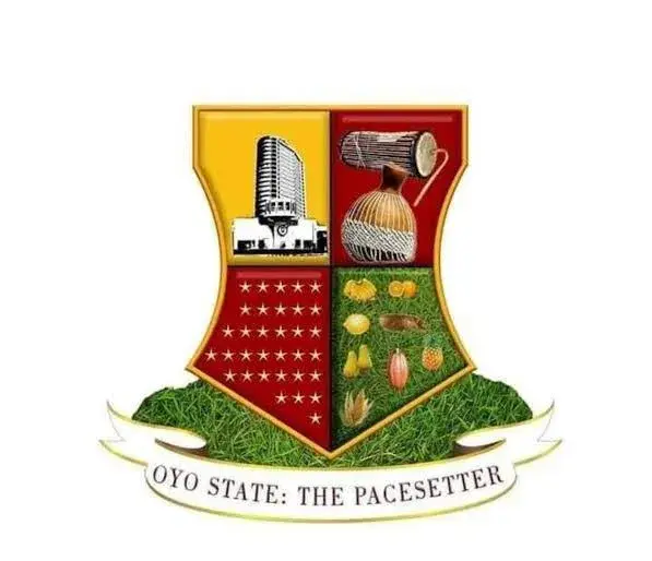Oyo Gov’t to Shut Private Health Facilities With Unqualified Personnel