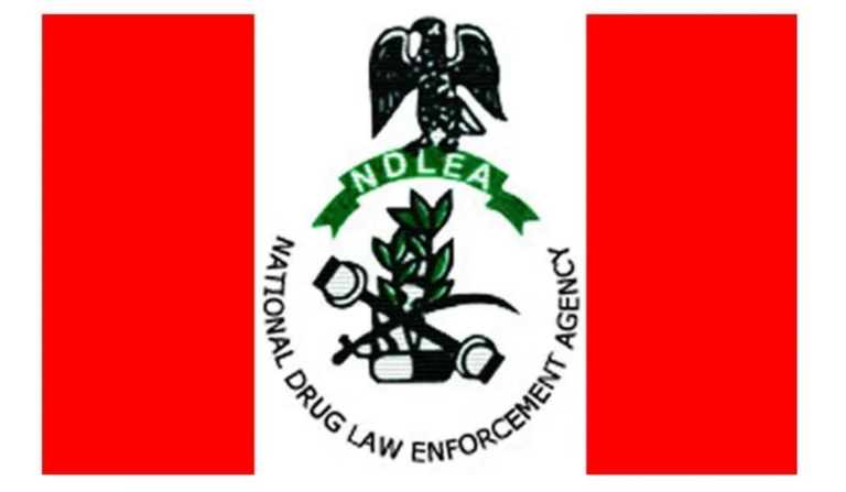 NDLEA Arrests 280 Drug Suspects, Secures 43 Convictions in Oyo Within 8 Months